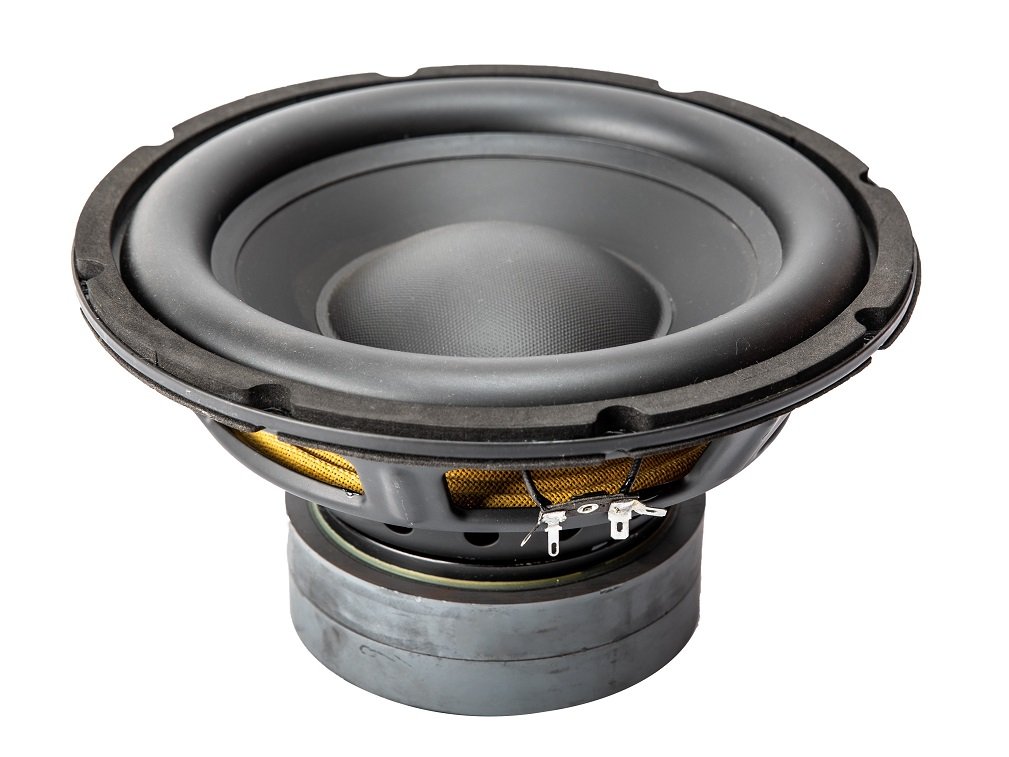 10” Dual Magnet Subwoofer