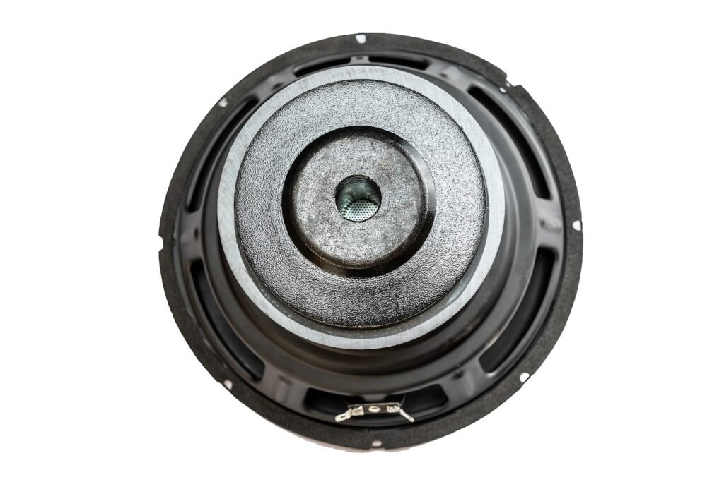 10” Large Xmax Subwoofer with Shorting Ring