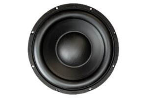 10” Large Xmax Subwoofer with Shorting Ring