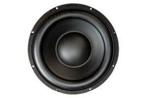 10” Dual Magnet Subwoofer