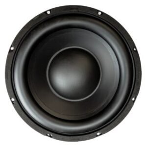 10” Dual Magnet Subwoofer
