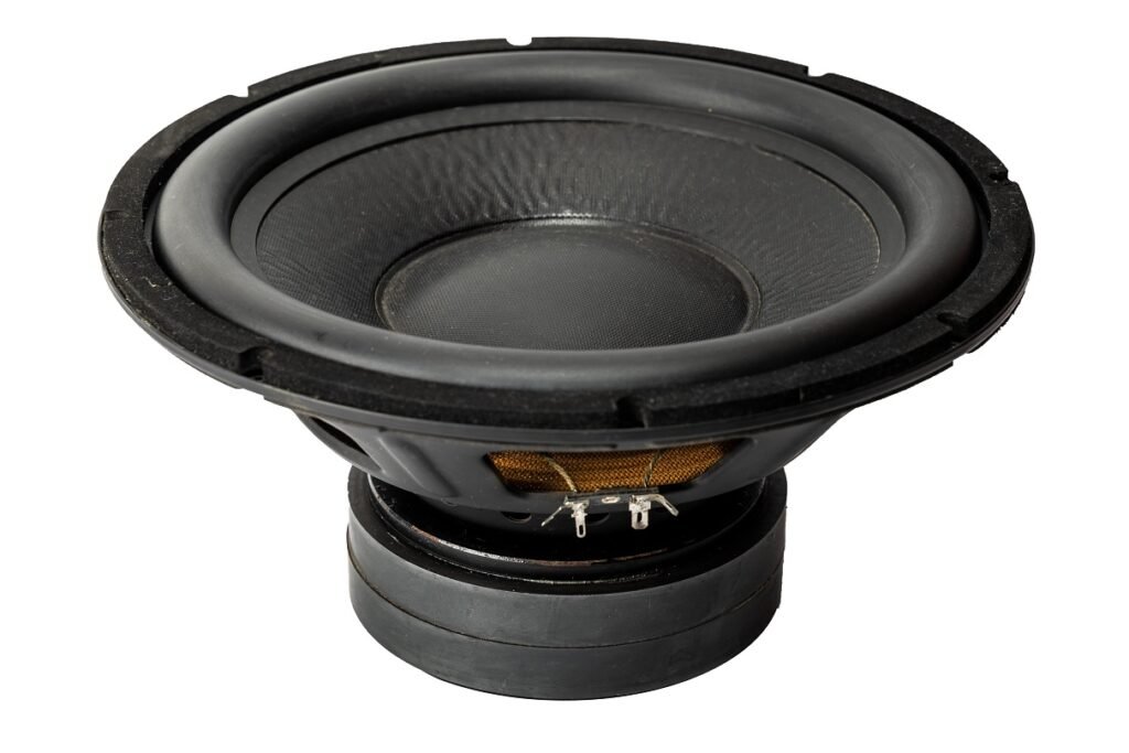12” Dual Magnet Subwoofer