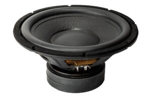 12” Dual Magnet Subwoofer
