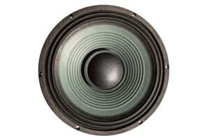 12″ Pro Audio Fullrange Transducer