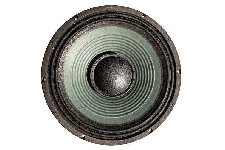 12″ Pro Audio Fullrange Transducer