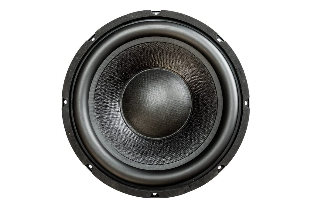 12” Large Xmax Subwoofer with Shorting Ring