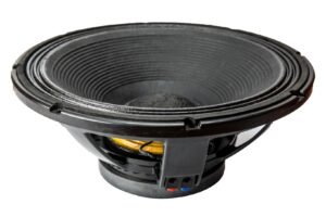 18″ Pro Audio Low Frequency Transducer–600W