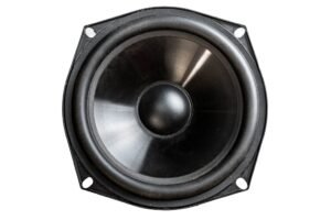 5.25″ Woofer with Black Injected PP Cone