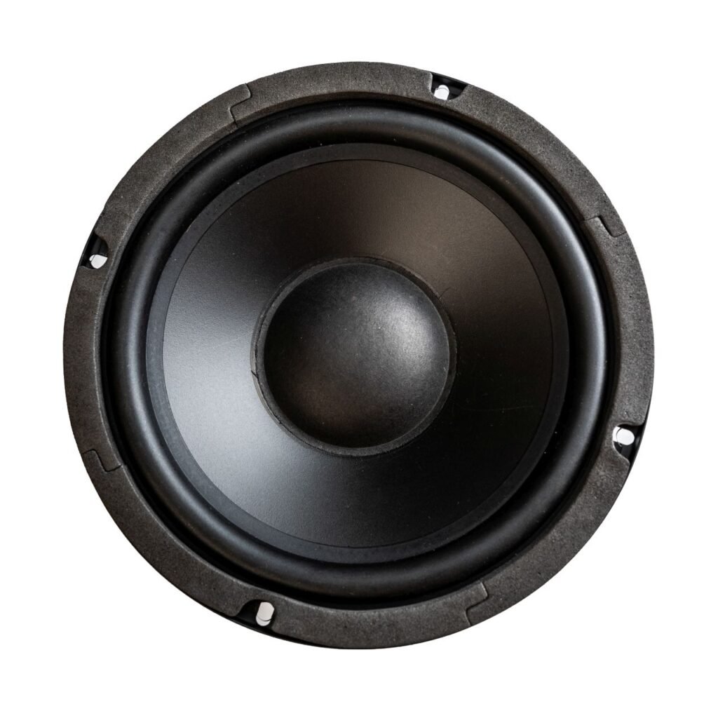 8″ Subwoofer 4Ω/125W
